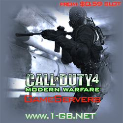 Quality Game Servers for Less!